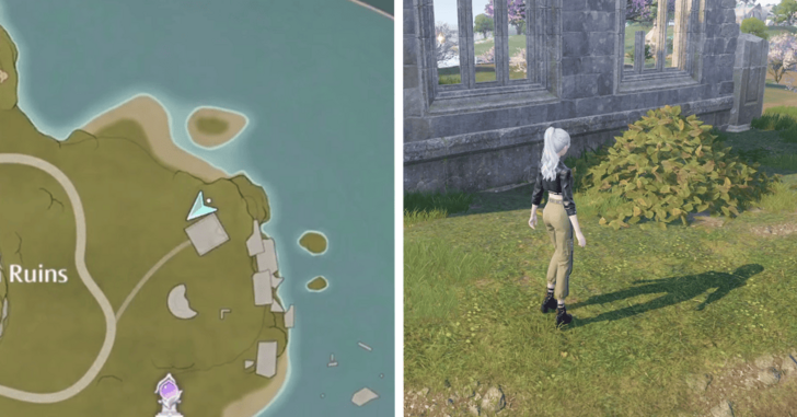 Dew of Firework - Firework Isles - 64-65