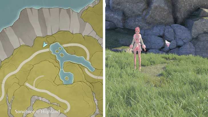 Whim Balloon - Firework Isles - 20