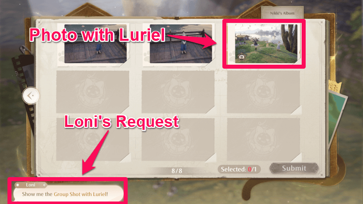 Submit the Picture to Loni