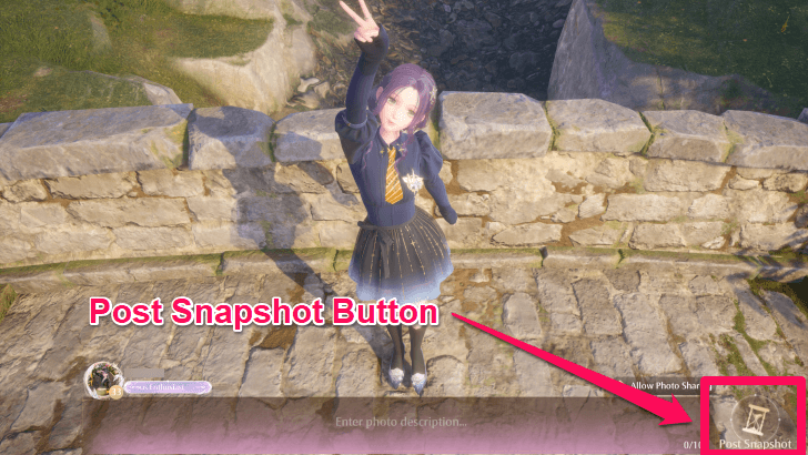 Post Snapshot Button