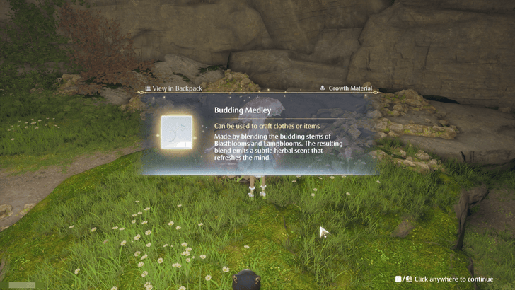 Infinity Nikki Budding Medley Special Reward