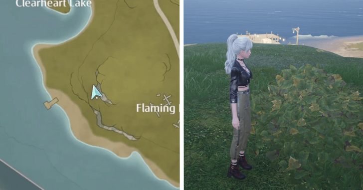 Dew of Firework - Firework Isles - 212-213