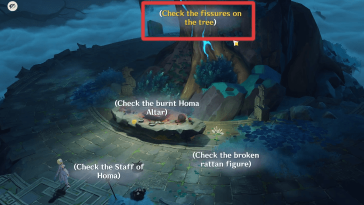 Genshin - Check the Fissures on the Tree