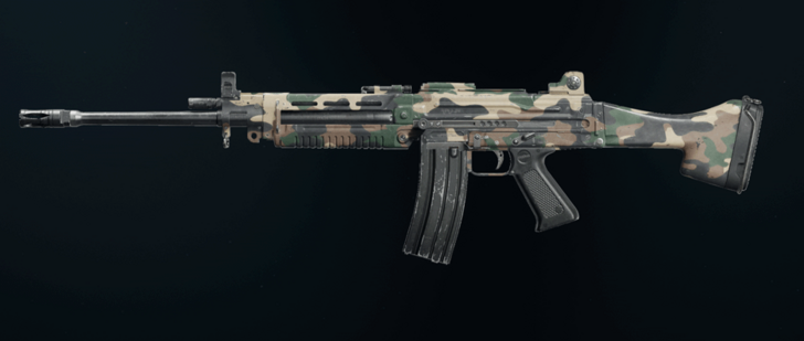 Black Ops 6 - Woodland Feng 82 Camo