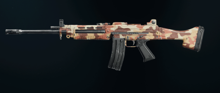 Black Ops 6 - Desert Feng 82 Camo