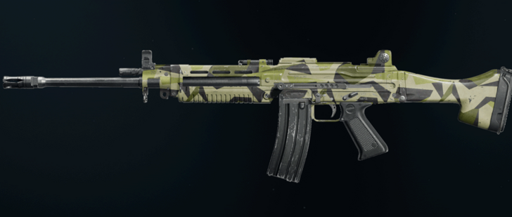 Black Ops 6 - Pine Feng 82 Camo