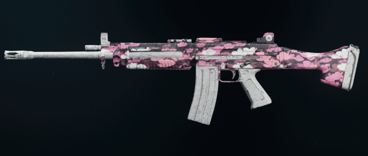 Black Ops 6 - Asterwind Camo