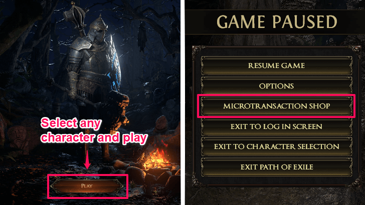 Select a Character and Go to the Microtransactions Page