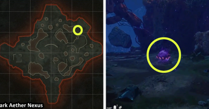 Purple Mushroom Location