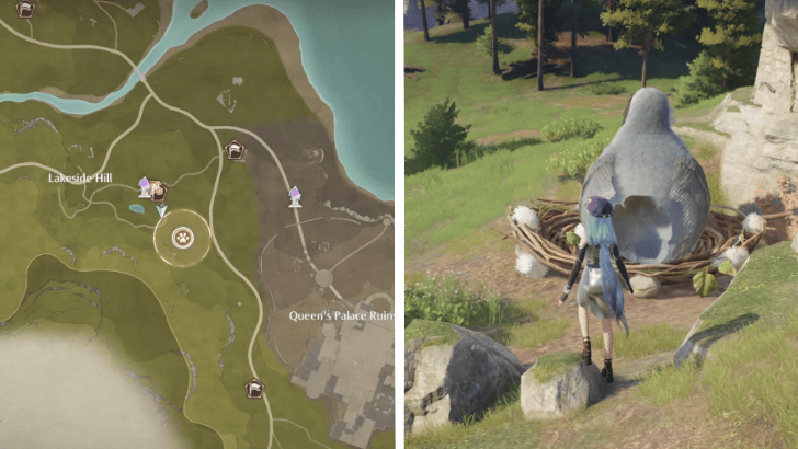 Infinity Nikki Sky Monarch Breezy Meadow Location 1