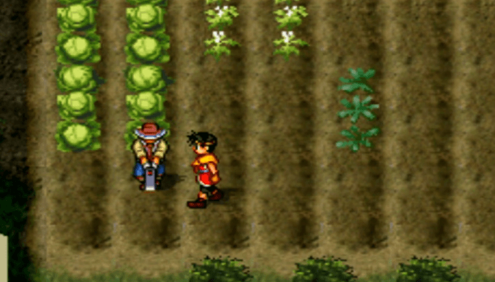 Suikoden 2 - Farm