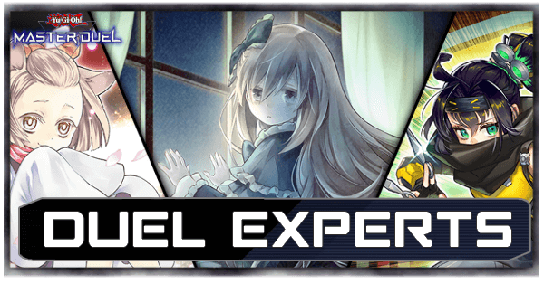 Master Duel Duel Experts Selection Pack