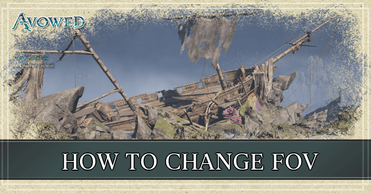 Avowed - How to Change FOV
