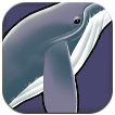 Whales