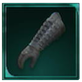 Avowed -  Deerskin Gloves