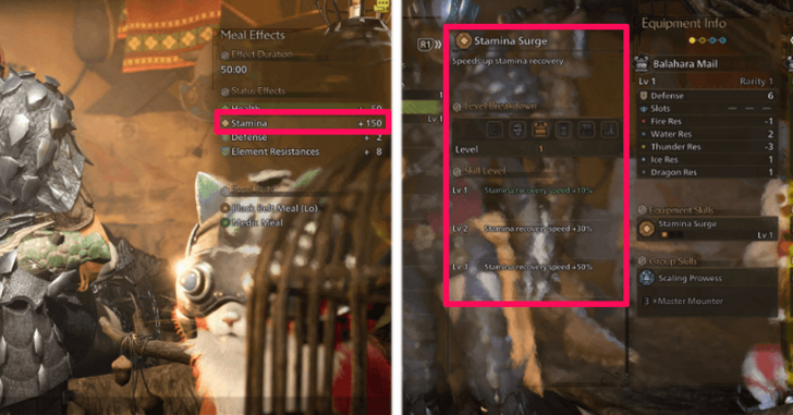 Bring and Equip Stamina Items and Skills
