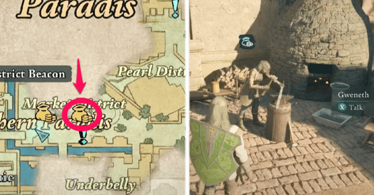 Avowed - Premium Protection Location