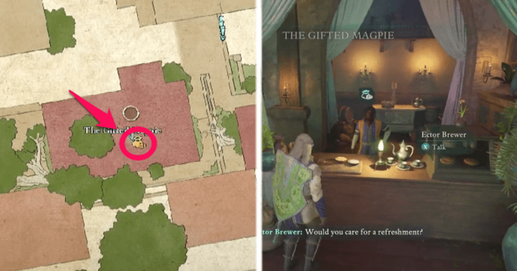 Avowed - The Gifted Magpie Location