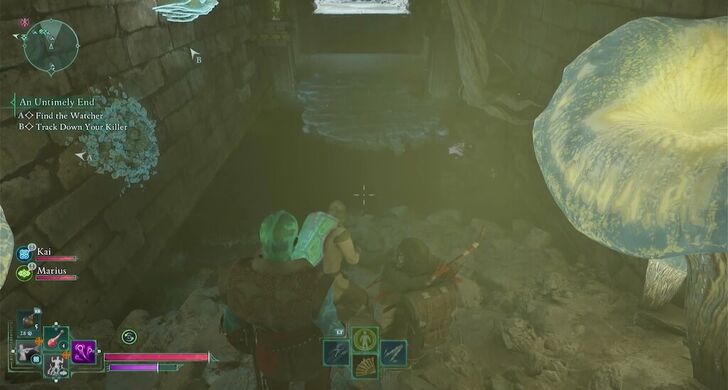 Avowed - Freeze Water