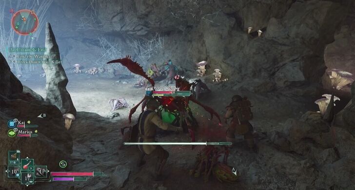 Avowed - Spider Tunnel