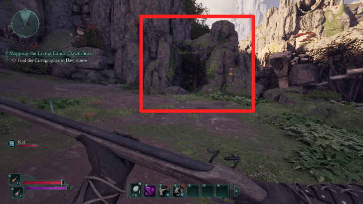 Hidden Path Lined with Rocks