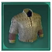 Avowed -  Mail Hauberk