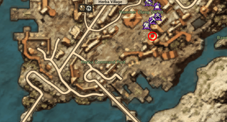 Throne and Liberty - Stop the Hammer Operation