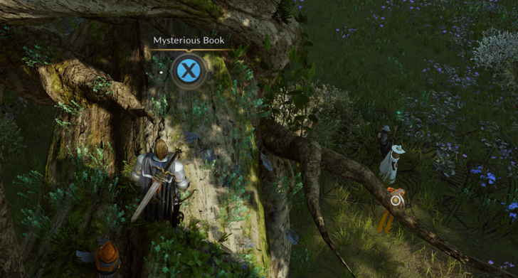 Throne and Liberty - An Elven Wizard