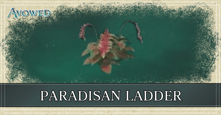 Avowed - How to Get Paradisan Ladders