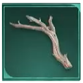 Avowed -  Softwood Branch