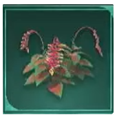 Avowed -  Paradisan Ladder