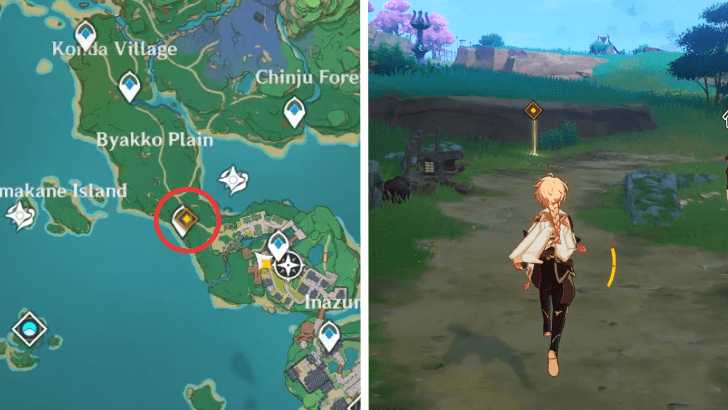 Genshin Impact - Go to Inazuma