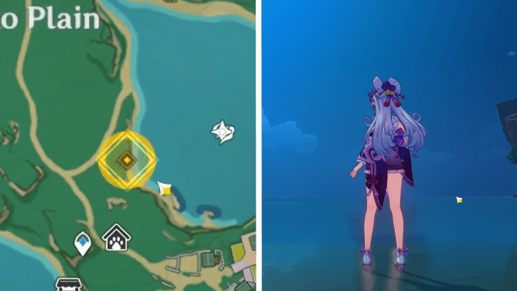 Genshin Impact - Go to where you first met Mizuki