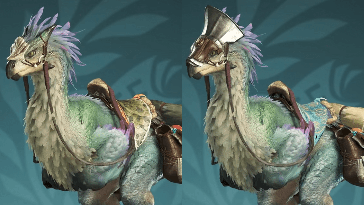 Accessories for Seikrets