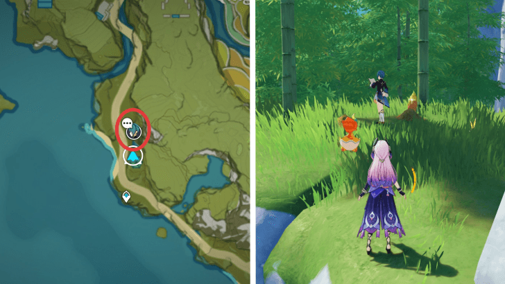 Genshin - Xingqiu Location