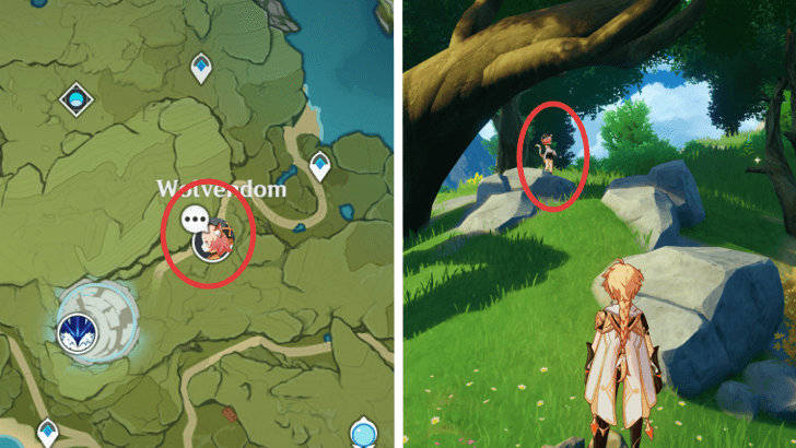 Genshin - Diona Location