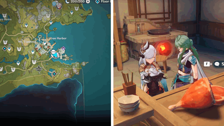 Genshin - Shenhe Location