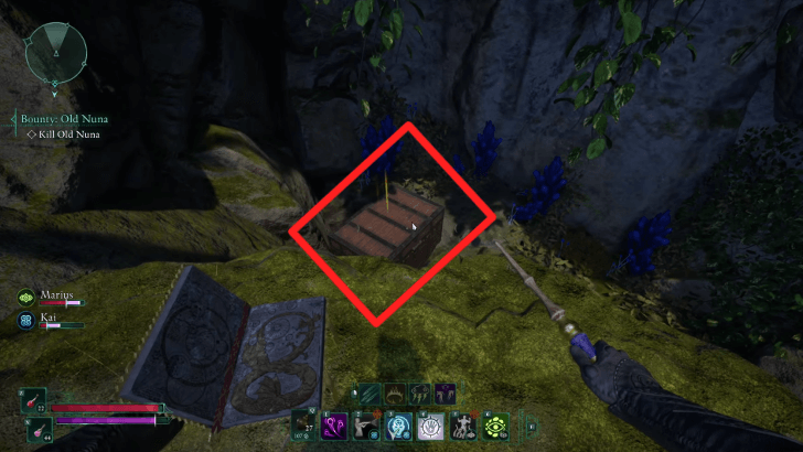 Practical Pockets Treasure