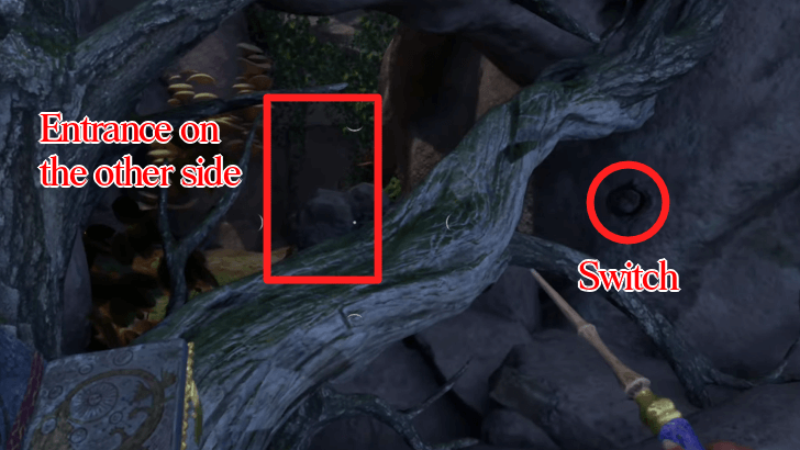 Earthy Aegis Treasure Entrance and Switch