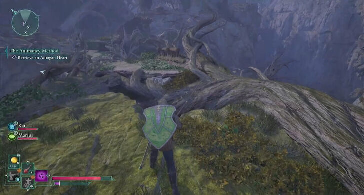 Avowed - Vine Bridge