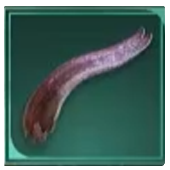 Avowed -  Xaurip Tongue