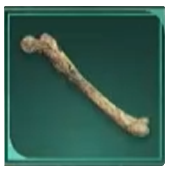 Avowed -  Vessel Bone