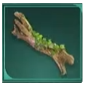 Avowed Awakened Wood