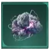 Avowed -  Primal Wind