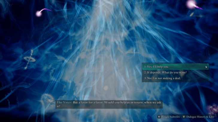 The Voice Dialogue Options