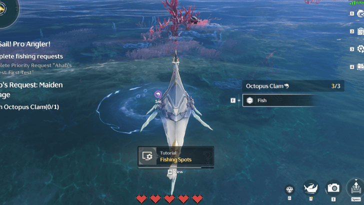 Octopus Clam Location