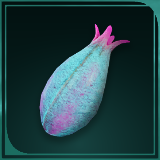 Avowed -  Electric Lily Seed