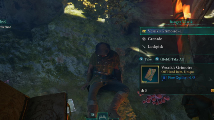 Avowed - Vesrik’s Grimoire Location in Emerald Stair