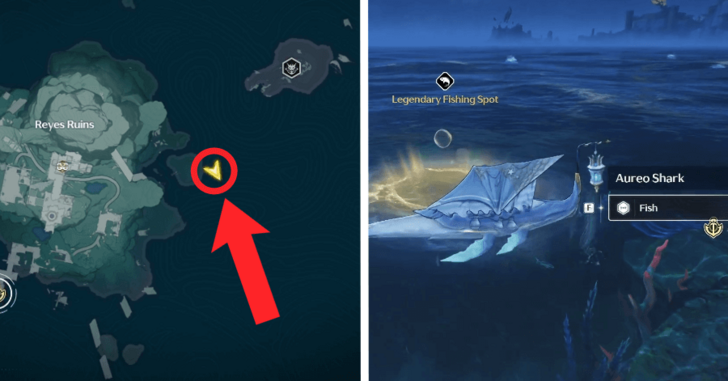 Aureo Shark Location