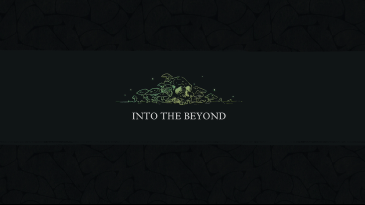 Into The Beyond